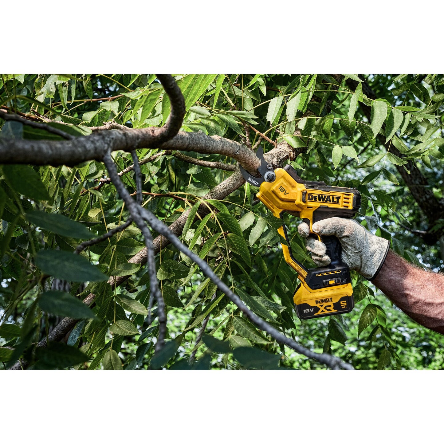 DEWALT DCMPP568N-XJ 18 Volt Akku-Astschere 38mm Schnittstärke, ohne Akku und Ladegerät