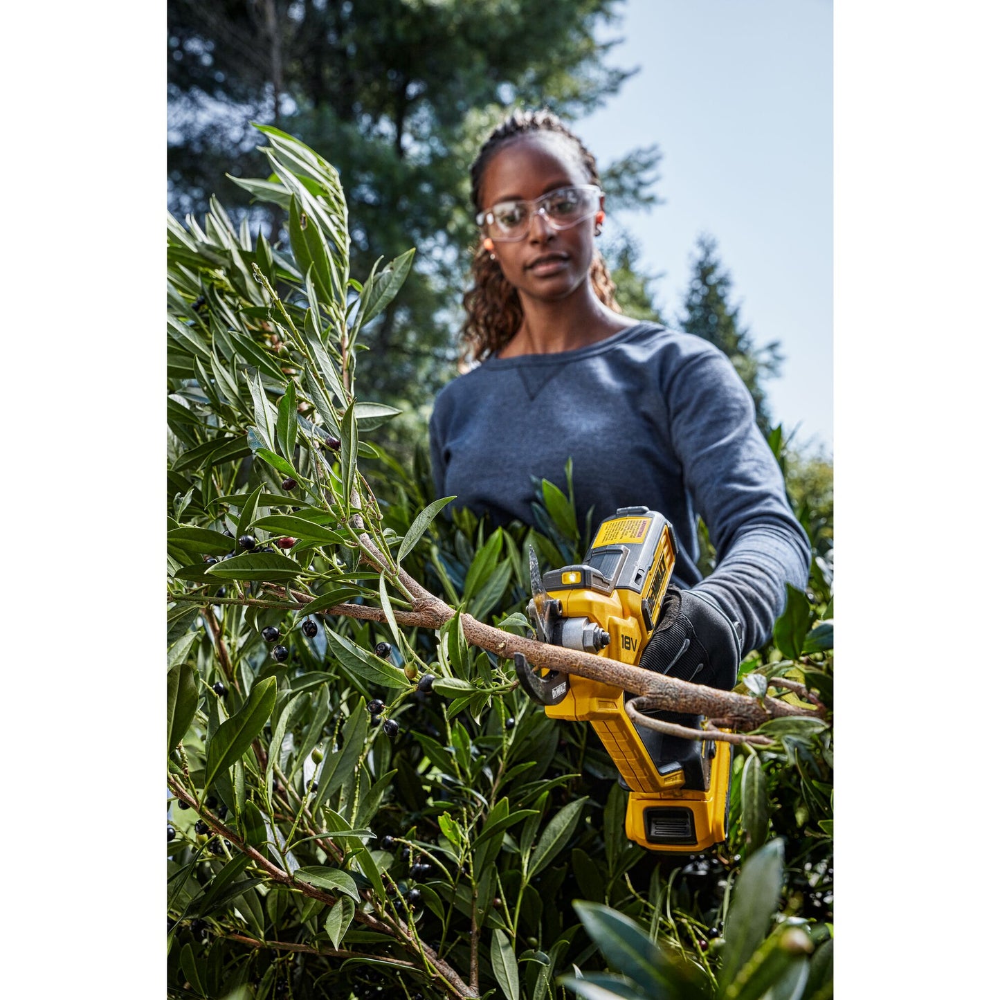 DEWALT DCMPP568P1-QW 18 Volt Akku-Astschere 38mm Schnittstärke mit 1x18V 5.0Ah Akku