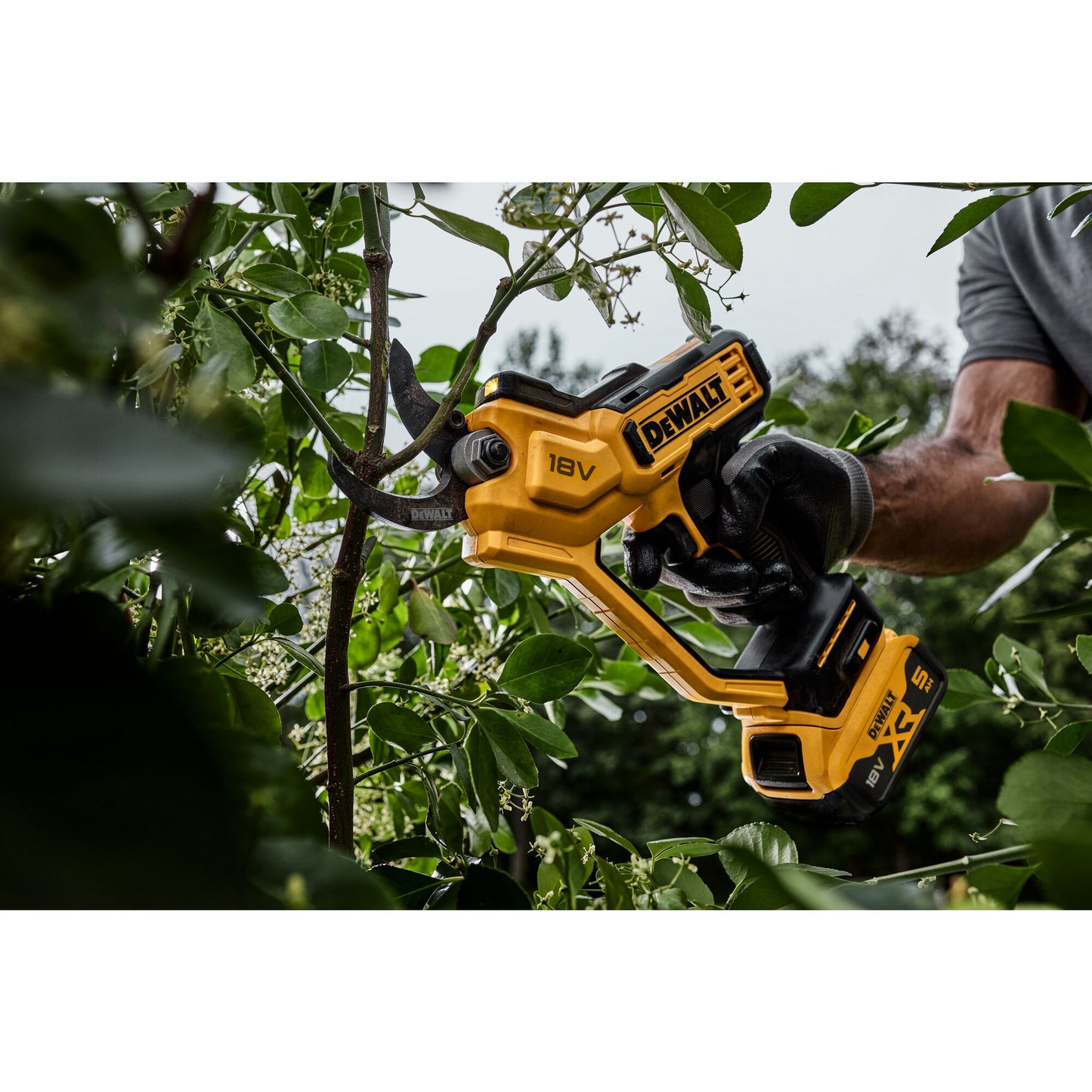 DEWALT DCMPP568P1-QW 18 Volt Akku-Astschere 38mm Schnittstärke mit 1x18V 5.0Ah Akku